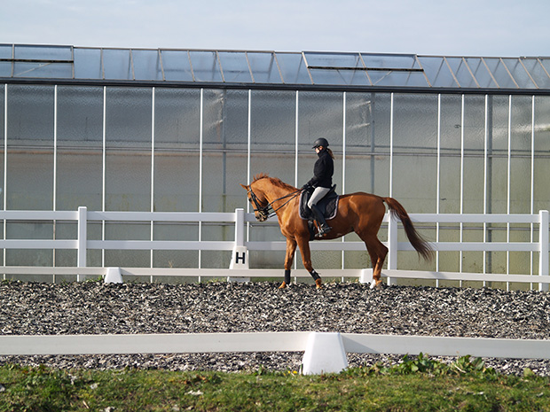 Welkom bij R.V. Slingeland